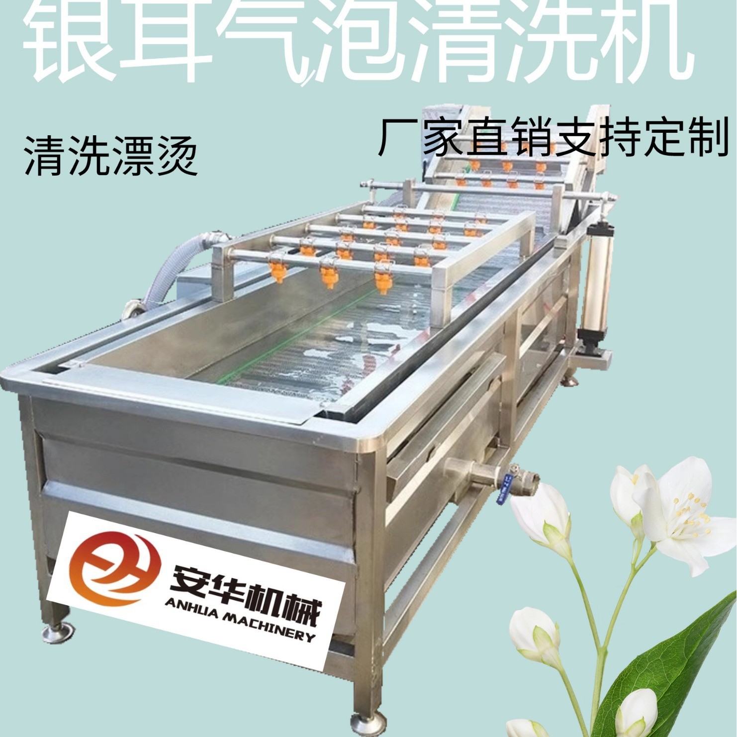全自動果蔬氣泡清洗機藍莓圣女果銀耳毛豆清洗機臭氧果蔬消毒設備