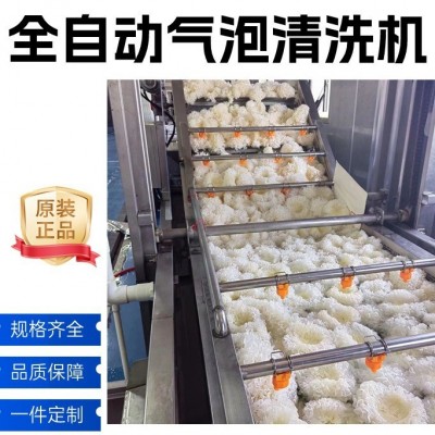 天麻藥材氣泡清洗機 果蔬清洗加工流水線 大棗橘子蘿卜芹菜洗菜機
