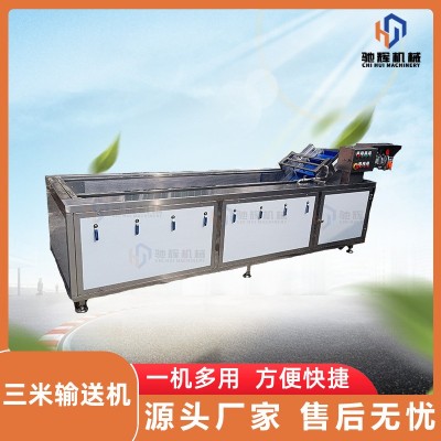 馳輝機(jī)械大型無(wú)損果蔬清洗機(jī) 連續(xù)式菠蘿清洗機(jī) 柚子氣泡清洗機(jī)