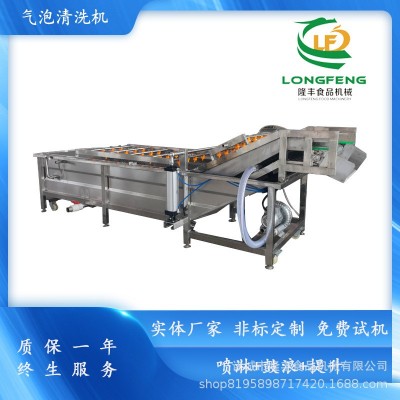全自動果蔬清洗機 黃桃水蜜桃清洗風干機 藍莓大棗清洗風干流水線