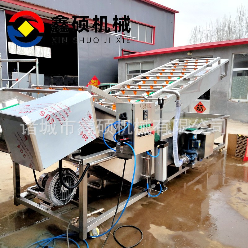 廠家供應氣泡清洗機 不銹鋼材質(zhì)果蔬清洗線 彩椒金針菇清洗機設備
