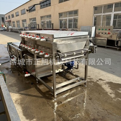 大姜高壓噴淋清洗機 地瓜紅薯洗泥沙清洗設備 蓮藕洗泥機