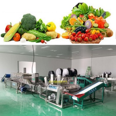 廠家定做生產各種水果清洗線蘋果清洗風干分選流水線自動化