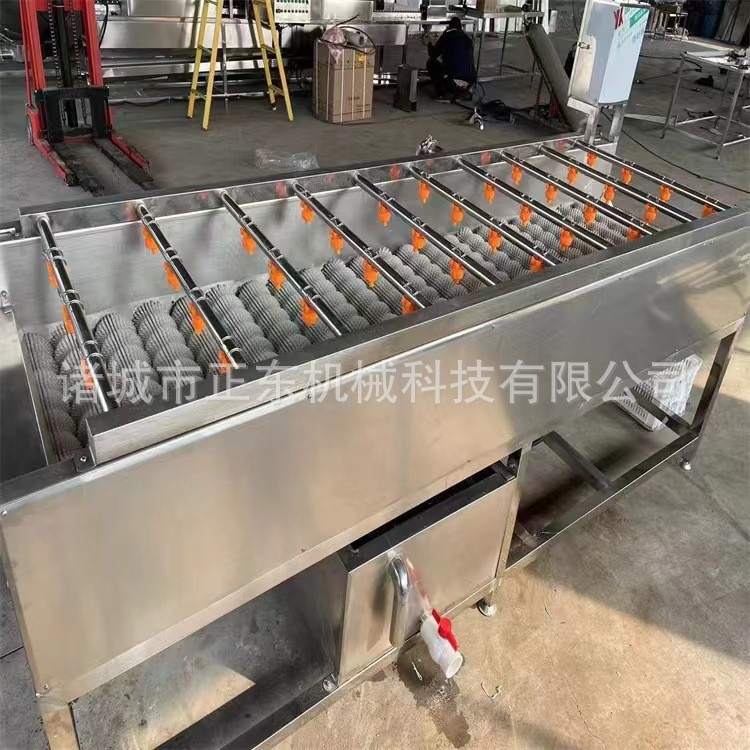 芋頭地瓜清洗機 根莖類蔬菜毛輥清洗設備 胡蘿卜毛輥清洗機