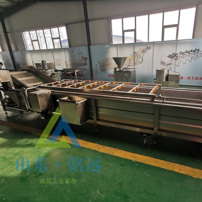 全自動梅干菜氣泡清洗機速凍玉米氣泡清洗機鮮花生去泥氣泡清洗機