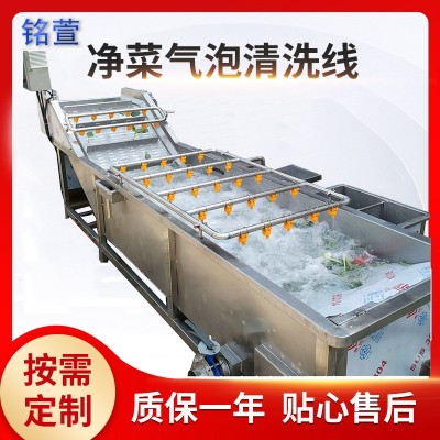氣浴式海鮮果蔬清洗設(shè)備 中藥材氣泡清洗機(jī) 海帶翻浪式氣泡清洗機(jī)