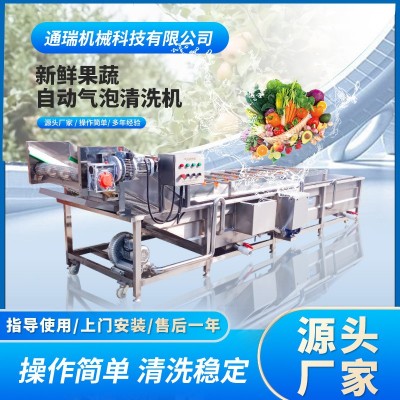 全自動氣泡清洗機大姜清洗設備噴淋式中藥材氣泡清洗流水線廠家