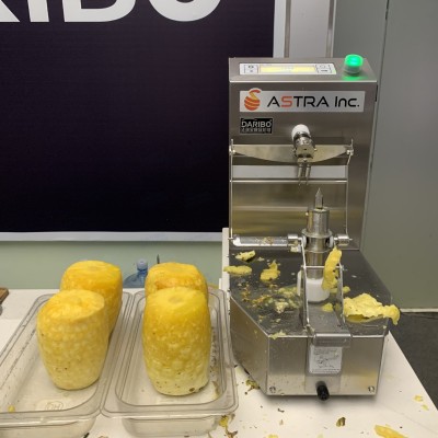 *商用菠蘿芒果削皮機 商超果切用青芒去皮機 大瓜果除皮刨皮機