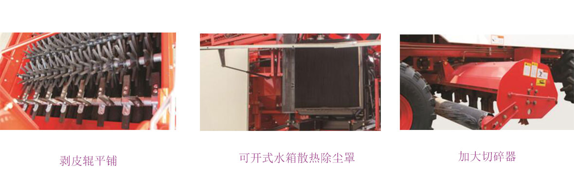 春雨CP M40細節圖 春雨CP M40細節圖