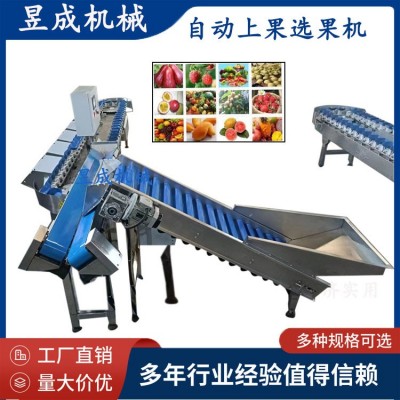 鮮食玉米重量分級輸送包裝 鮮食玉米加工生產線 自動選果機