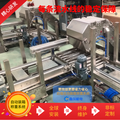 自動稱重系統機械 生產線末端稱重裝箱設備 糖果食品加工通用裝置