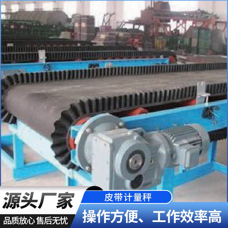 電子皮帶計(jì)量秤工廠供應(yīng) 高精度電子皮帶秤稱重給煤機(jī) 計(jì)量皮帶秤