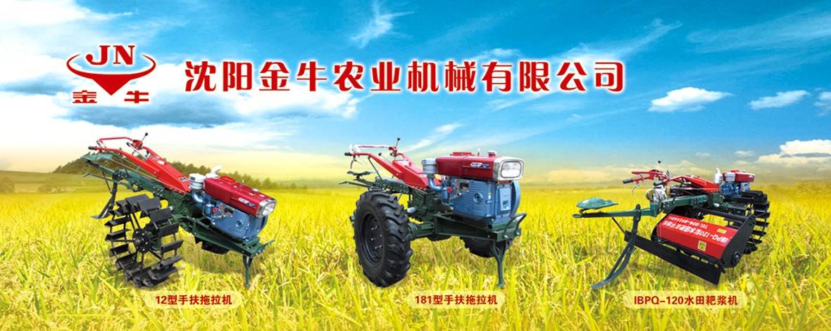 沈陽金牛 沈陽金牛.jpg