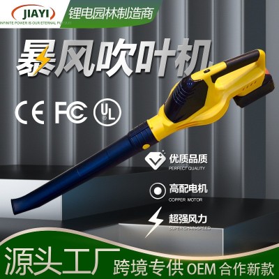 嘉易工廠鼓風(fēng)機無線充電式跨境吹雪機五檔位大風(fēng)力新款園林吹葉機