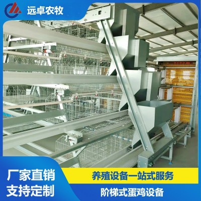 蛋雞養殖自動化設備福建漳州四層階梯立體蛋雞 a型階梯蛋雞籠