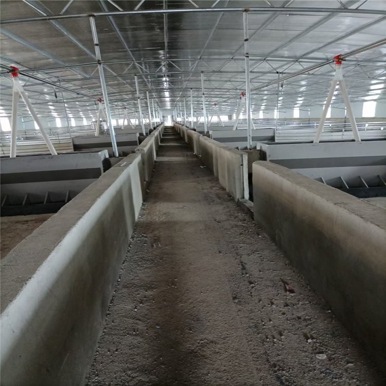 全自動養豬設備 智能化自動料線 百民畜牧豬場安裝設計