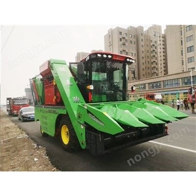 嘉駿4QZ-10型自走式青飼料收獲機