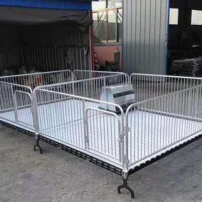 仔豬復合保育床國際熱鍍鋅管帶復合漏糞板和料槽養豬養殖牧畜設備