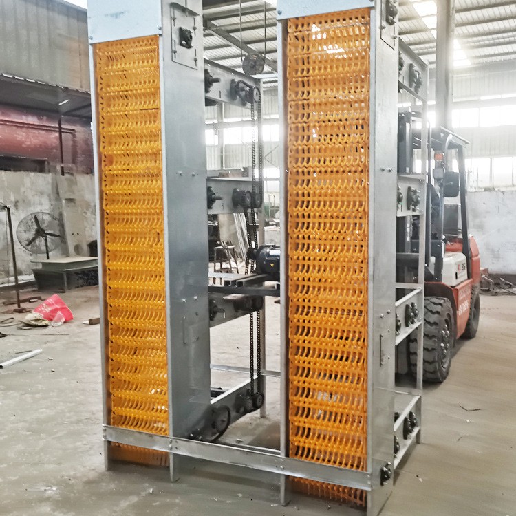 一體化養殖設備 宏偉養殖設備批發雞舍自動化撿蛋設備