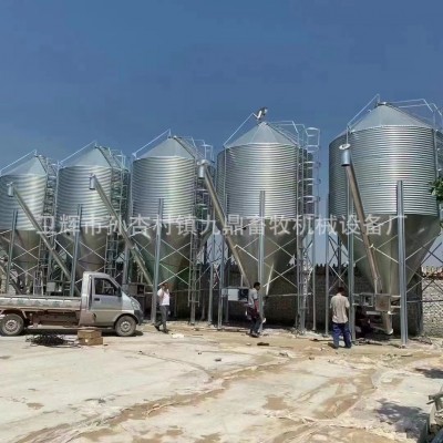 九鼎料塔料線廠家15噸20噸25噸30噸料塔養殖場自動飼喂系統飼料塔