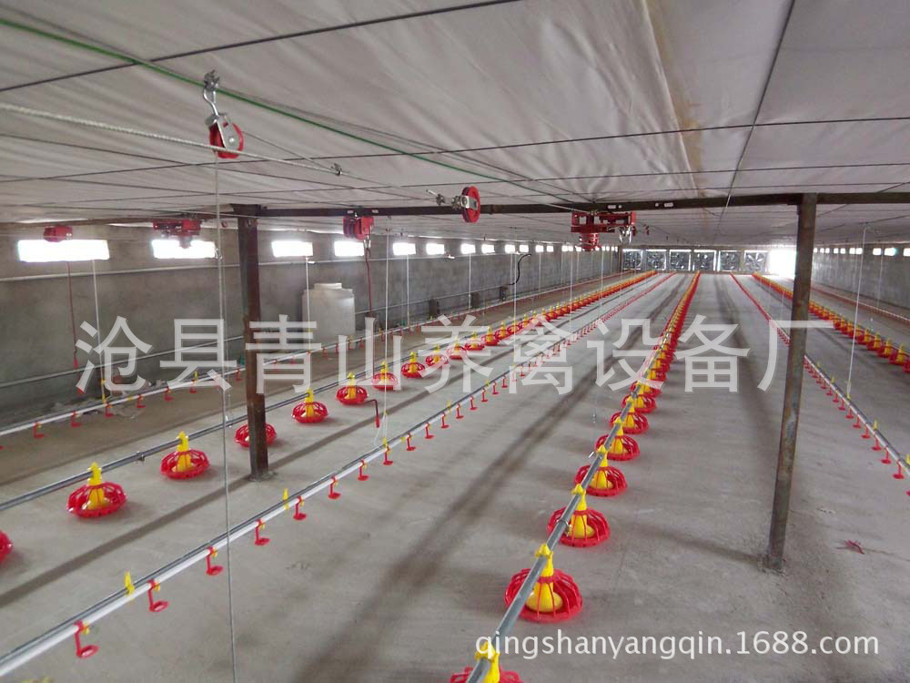 供應養(yǎng)雞水線 全自動養(yǎng)雞水線 肉雞養(yǎng)殖設備 平養(yǎng)雞料線 水線