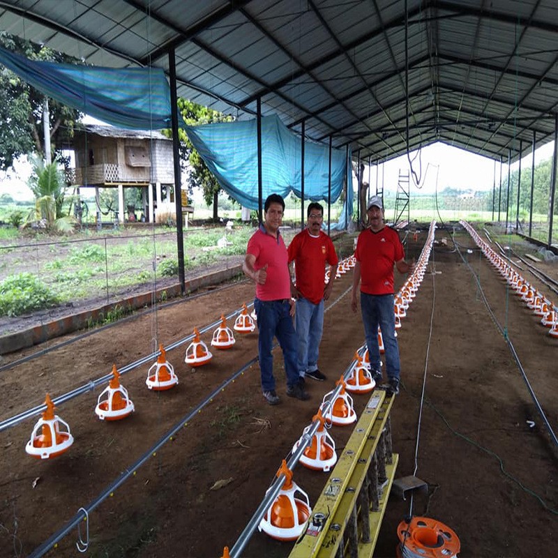 自動料線 平養雞自動料線 散養肉雞料線 雞自動喂料設備鴨子鵝料