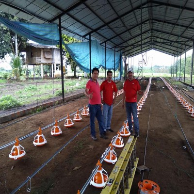自動料線 平養雞自動料線 散養肉雞料線 雞自動喂料設備鴨子鵝料