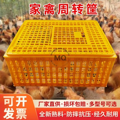 雞籠周轉箱家用特大號雞籠子鴨鴿兔雞用家禽運輸筐養殖籠塑料雞框