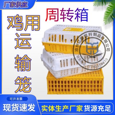 雞籠周轉(zhuǎn)箱塑料雞箱雞運輸籠周轉(zhuǎn)籠 鴿兔運輸籠 家禽周轉(zhuǎn)筐 雞筐