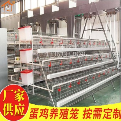 養(yǎng)雞家用子養(yǎng)殖三層四層蛋雞籠熱鍍鋅雞籠階梯式蛋雞籠層疊蛋雞籠