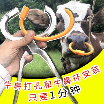 廠家直銷塑料養(yǎng)牛場(chǎng)器械設(shè)備牛鼻圈安裝鉗子打孔鉗子穿孔鉗牛鼻環(huán)