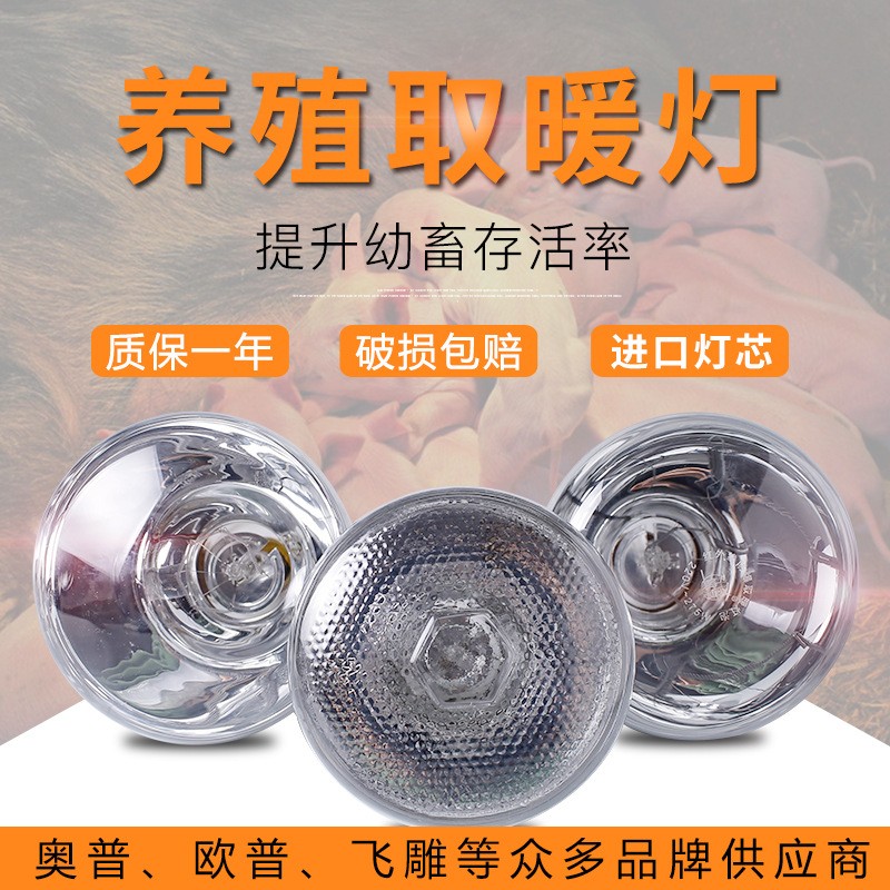 藍鳥養(yǎng)殖專用取暖燈小雞仔豬仔育雛獸用加熱烤燈設備加厚保溫燈泡