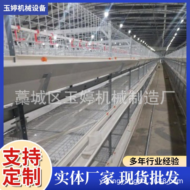 全自動層疊蛋雞籠子養(yǎng)殖雞籠具籠養(yǎng)雞用設備階梯式雞籠蛋雞籠養(yǎng)殖