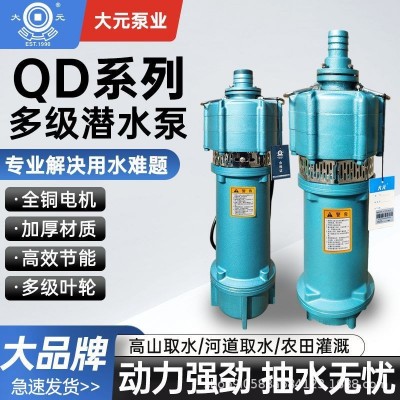 大元QD潛水泵多級小老鼠家用大流量農用灌溉高揚程單相220V噴泉泵