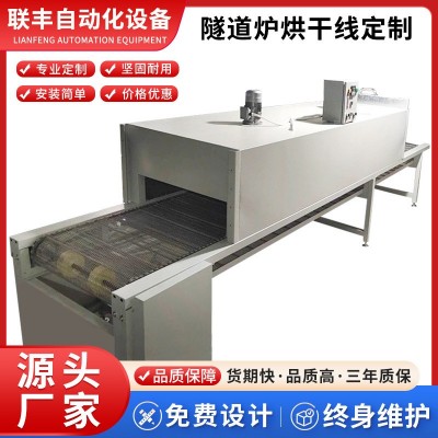 高溫烘烤隧道式機械設(shè)備隧道烘干線烘干設(shè)備輸送機流水線皮帶廠家