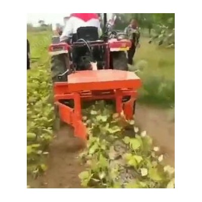 綠豆割曬機(jī)視頻2