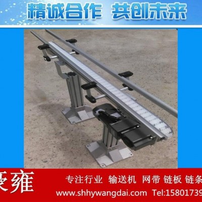 制作肉類食品傳送線 柔性輸送線 吹塑全自動化生產線 網鏈輸送機