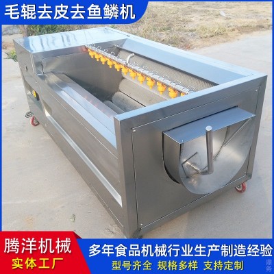不銹鋼毛輥清洗去皮機 土豆果蔬去皮清洗機 羊頭羊蹄清洗機器