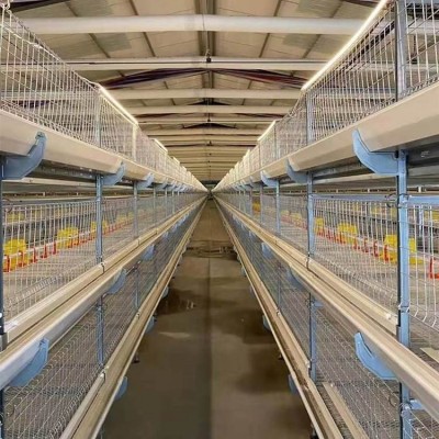 肉雞籠養(yǎng)設(shè)備全自動(dòng)肉雞籠養(yǎng)雞設(shè)備 養(yǎng)殖場(chǎng)可用管理方便