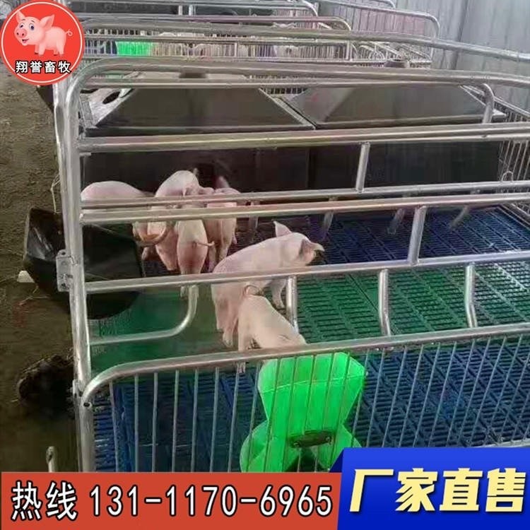 翔譽畜牧 新型歐式母豬產床 復合板仔豬保育床 小豬保育欄 豬籠養豬設備 器械母豬產床定位欄 廠家直銷