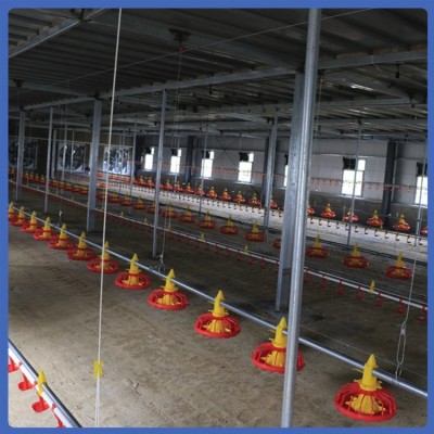 養(yǎng)雞水線 喂養(yǎng)設備 不易變形 發(fā)貨較快 拆裝簡便