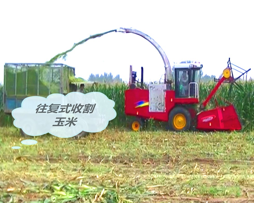 往復式收割玉米_看圖王.jpg