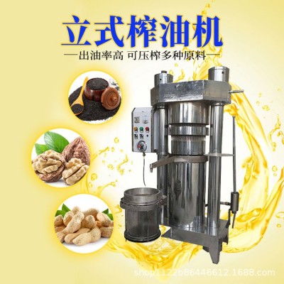 全自動(dòng)液壓榨油機(jī) 立式芝麻核桃花生壓油機(jī) 商用芝麻香油機(jī) 1臺(tái)