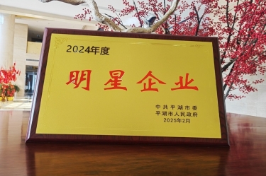 新春新景新氣象 | 景興紙業(yè)在平湖三干大會上喜摘榮譽！